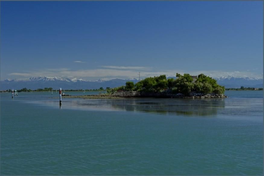 Immagine per La Laguna di Grado e i suoi tesori un patrimonio da difendere, giovedì un incontro online